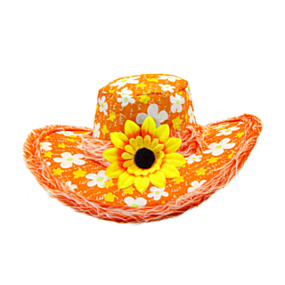 Ibiza Hattu Oranssi