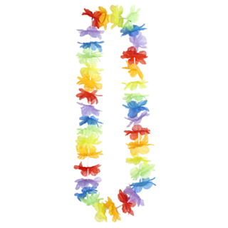 Rainbow Havaiji Kukkalei