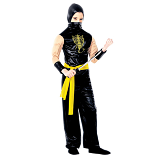 Power Ninja lasten asu