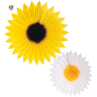 WM5046B