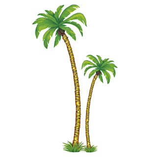 Palmu