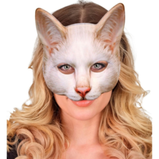 Kissa Naamio