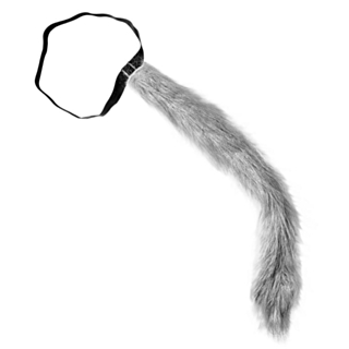 Suden häntä