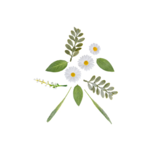 Päivänkakkara Tekokukat Valkoinen/Keltainen/Vihreä