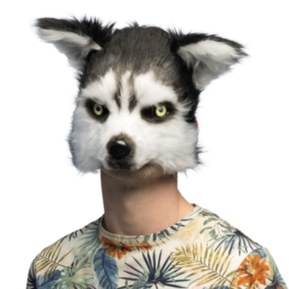 Huskynaamio