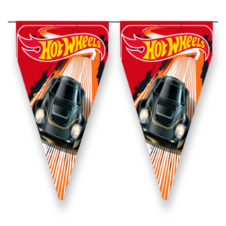 Hot Wheels® Viirinauha