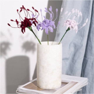 Hämähäkkililja DIY Vaaleanpunainen/Liila