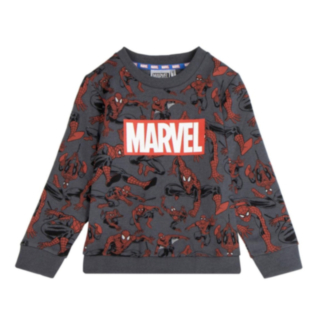 Spiderman® Allover Collegepaita