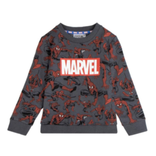 Spiderman® Allover Collegepaita