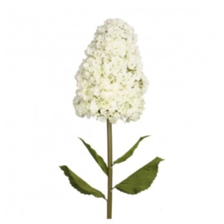 Tekokukka Hortensia Varrella