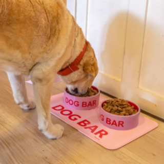 Dog Bar silikoninen ruokamatto vaaleanpunainen