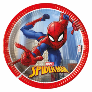 Spider-Man® Pahvilautaset