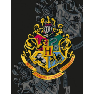 Harry Potter® Tylypahka Fleeceviltti Musta