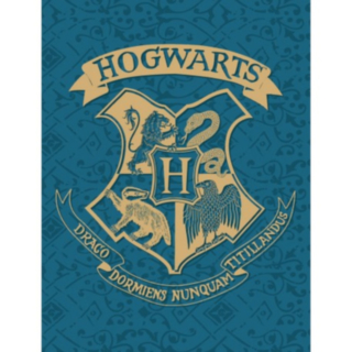 Harry Potter® Tylypahka Fleeceviltti Sininen
