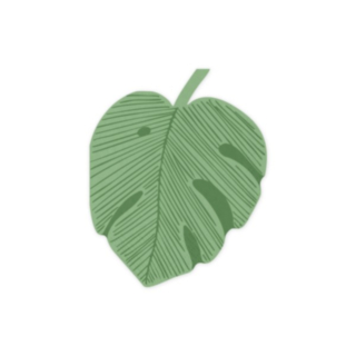 Monstera Servietter Grøn