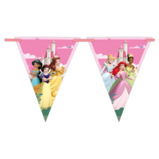 Disney Princess® Viirinauha
