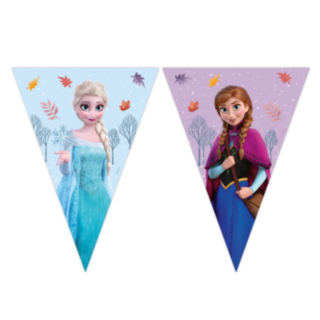 Frozen® Viirinauha