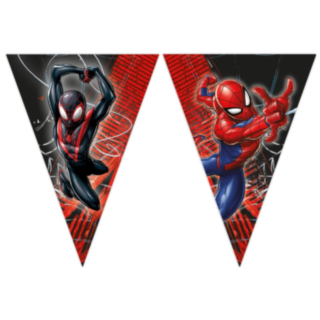 Spider-Man® Viirinauha
