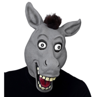 Hauska aasinaamari
