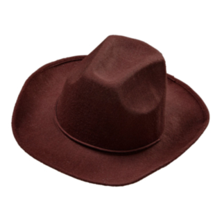 Realistinen Ruskea Cowboyhattu