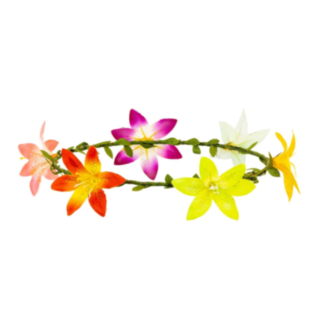 Hibiskus-kukkaseppele