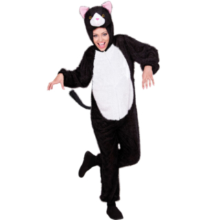 Pörröinen Kissa Asu Pörröinen Kissa Asu