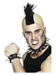 Punkkarin Asustesetti