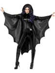 Vampyyrilepakon siivet