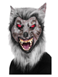 Susinaamari