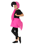 Pieni flamingoasu