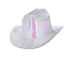 Paljetti Cowboy Hattu Irisoiva Valkoinen