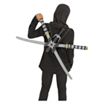 Ninja Asesetti