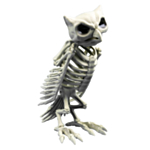 Pöllön luuranko