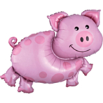 Possu Folioilmapallo