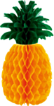Ananaskoriste