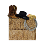 Cowboy Koriste