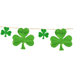St Patrick's Day Viirinauha