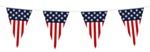 USA Viirinauha