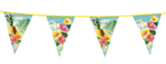 Trooppinen Havaiji Lippuviirinauha