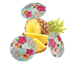 Havaijikukat Cocktail Sateenvarjot