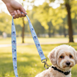 Stitch® Koiran Talutushihna Vaaleanpunainen