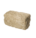 Olkipaali