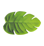 Monstera Lehti Vihreä