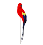 Papukaija Metallivarrella
