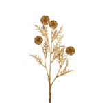 Allium koristeoksa