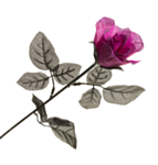Tekoruusu Violetti