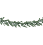 Tekoeukalyptus Köynnös Vihreä