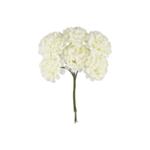 Tekokukat Mini Hortensia Norsunluu