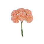Tekokukat Mini Hortensia Vaaleanpunainen/Norsunluu
