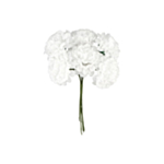 Tekokukat Mini Hortensia Valkoinen